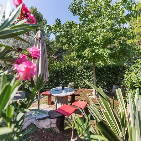 Semesterbostad Cozy In With Wifi